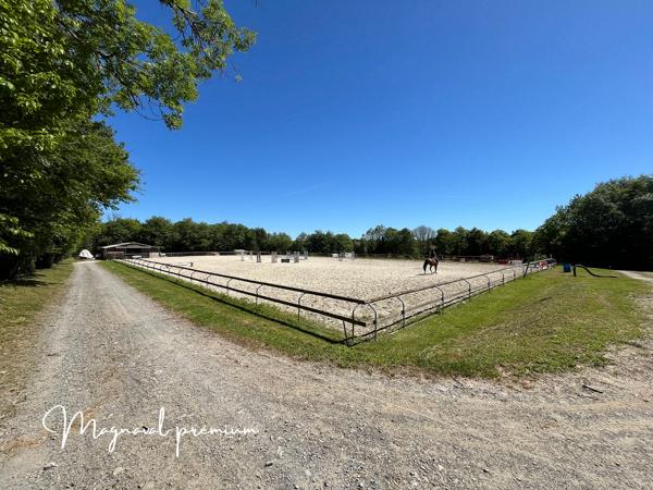 Castres (81100) Propriété équestre prémium avec 6 maisons sur 41 hectares.