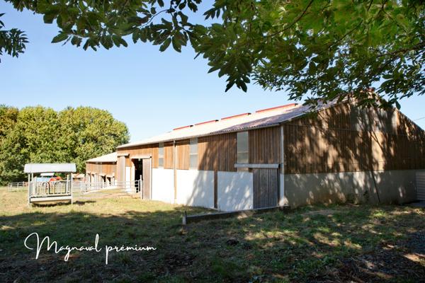 Castres (81100) Propriété équestre prémium avec 6 maisons sur 41 hectares.