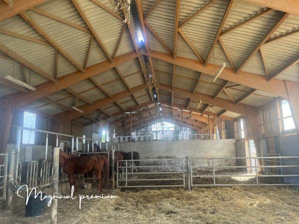 Castres (81100) Propriété équestre prémium avec 6 maisons sur 41 hectares.