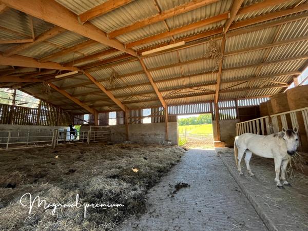 Castres (81100) Propriété équestre prémium avec 6 maisons sur 41 hectares.