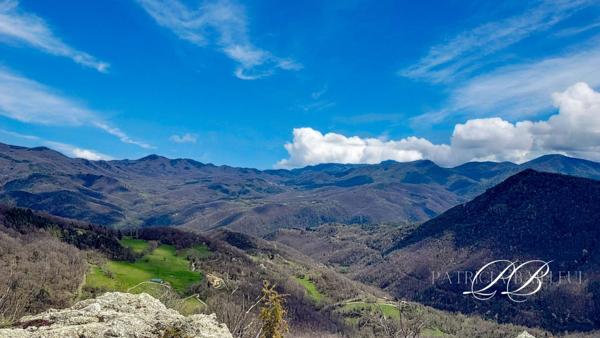 Proprieté Eco-rurale de 54 ha
