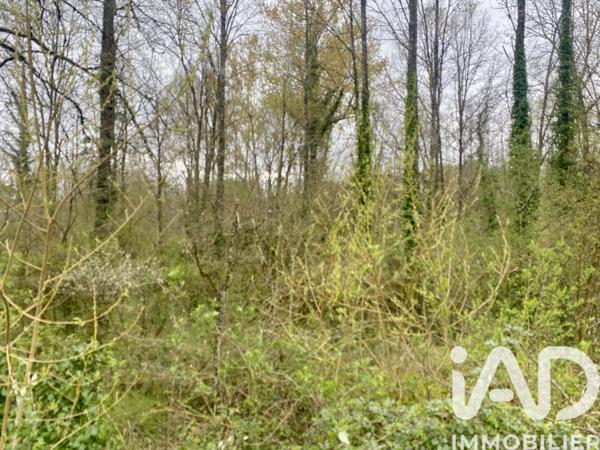 Terrain à vendre 19 123 m² Saint-Robert