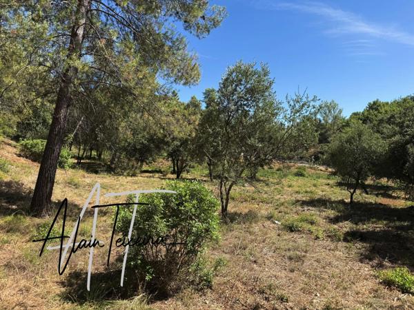 Centre ville à pied !