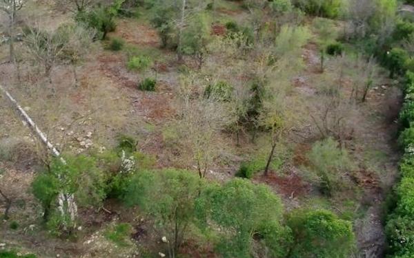 Terrain à vendre    Opio