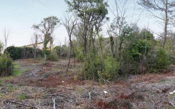 Terrain à vendre    Opio