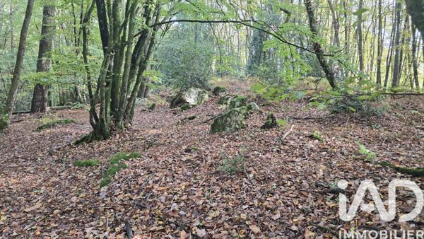 Terrain à vendre 10 210 m² Vieux-Vy-sur-Couesnon
