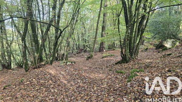Terrain à vendre 10 210 m² Vieux-Vy-sur-Couesnon