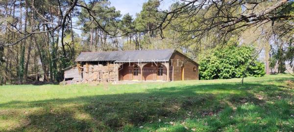 Maison contemporaine avec installations équestres sur 22 hectares