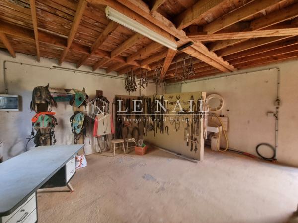 Maison contemporaine avec installations équestres sur 22 hectares