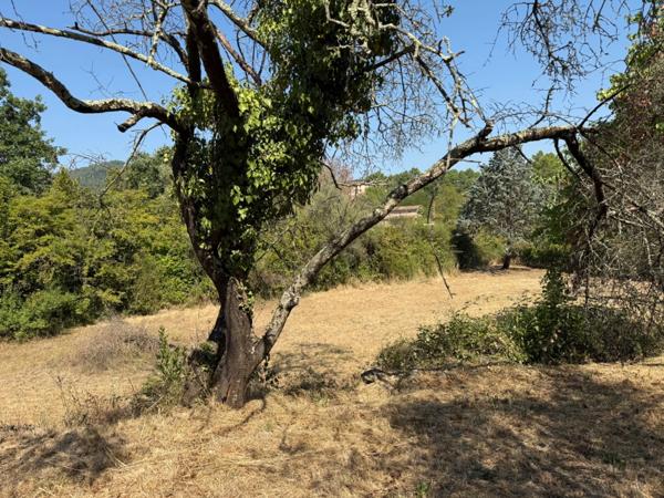 Terrain à vendre de 1 270,00 m² ALES (30)