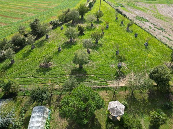 Longère en pierre St Denis D Anjou 8 pièce(s) 250 m2