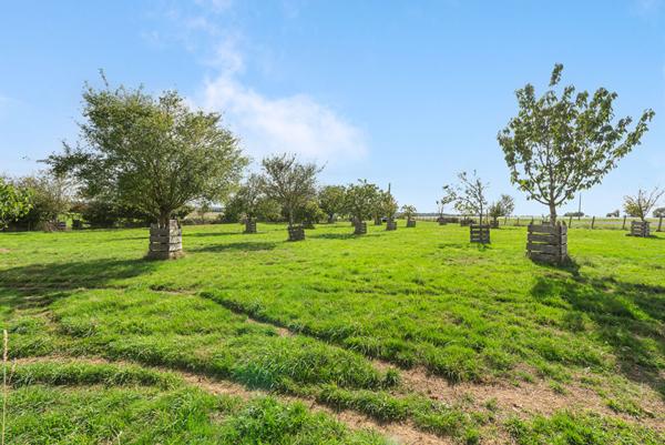 Longère en pierre St Denis D Anjou 8 pièce(s) 250 m2