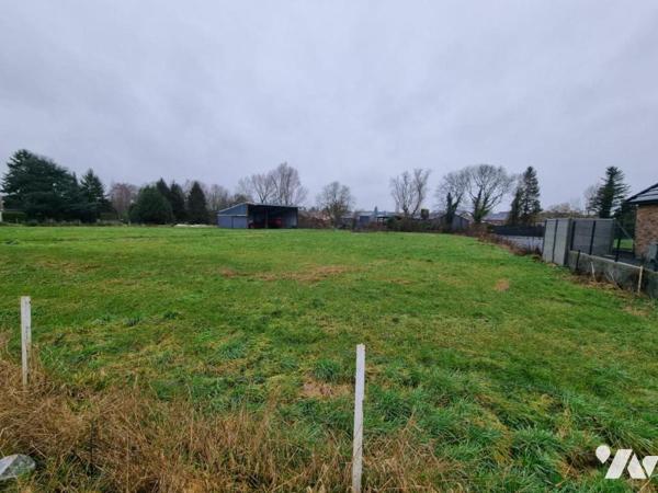 Terrain à Bâtir - SAINT-AUBERT