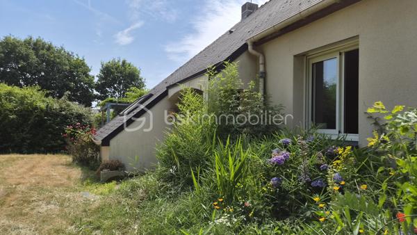 Découvrez cette maison de 150 m² habitables (161 m² au sol), nichée sur un terrain de près de 1000 m² entièrement clôturé et sans vis-à-vis, en impasse à proximité du cœur de ville de Nort-sur-Erdre, une commune prisée pour son cadre verdoyant, ses commodités et son dynamisme local.
Un espace de vie chaleureux et lumineux :
•	Une grande cuisine aménagée et équipée, ouverte sur un salon séjour spacieux, baigné de lumière.
•	Trois chambres et une salle d’eau pour un confort familial optimal.
Un potentiel unique :
•	Un espace de près de 30 m² au sol, avec une mezzanine de 12 m² et une salle d’eau, actuellement intégré à la maison. Ce volume, facilement cloisonnable, pourrait être transformé en : 
o	Un espace indépendant pour un adolescent en quête d’autonomie,
o	Un studio pour un projet de location saisonnière ou touristique,
o	Ou une extension de vie modulable selon vos besoins et envies.
Une maison à réinventer :
Cette propriété, pleine de charme et de potentiel, attend une famille souhaitant voir ses enfants grandir dans un cadre apaisant, en cœur de ville. 
Quelques travaux de rafraîchissement et d’amélioration énergétique permettront de sublimer ce lieu déjà accueillant.
Nort-sur-Erdre, un cadre de vie exceptionnel :
Ville dynamique de Loire-Atlantique, Nort-sur-Erdre allie nature préservée (bords de l’Erdre, sentiers de randonnée) et proximité des services (écoles, commerces, transports). Son environnement et son accès facile à Nantes en font un lieu de vie recherché.
Contactez moi pour une visite et laissez-vous séduire par le potentiel de cette maison !