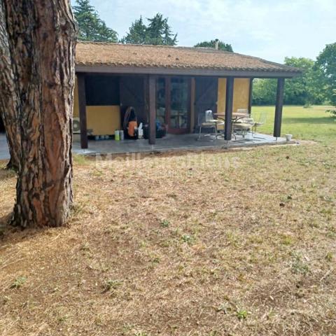 Mazet cadastré sur une belle parcelle de plus de 3800 m2