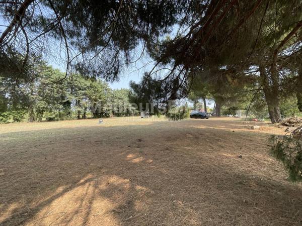 Mazet cadastré sur une belle parcelle de plus de 3800 m2