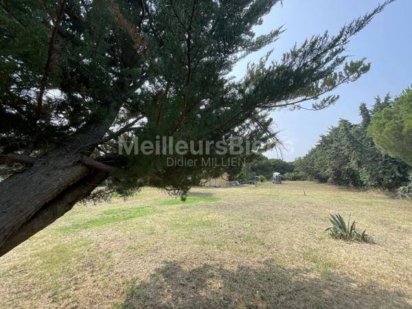 Mazet cadastré sur une belle parcelle de plus de 3800 m2