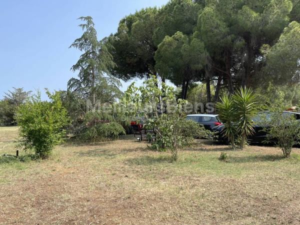 Mazet cadastré sur une belle parcelle de plus de 3800 m2