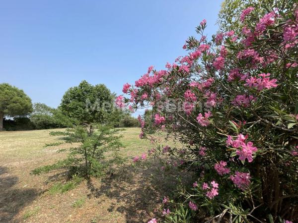 Mazet cadastré sur une belle parcelle de plus de 3800 m2