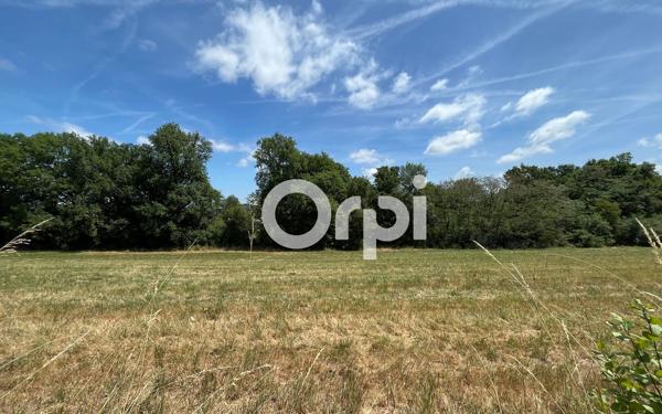 Terrain à vendre