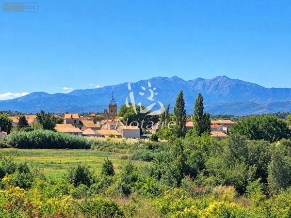 Achat - Terrain à bâtir Bages 66670 274 m 2