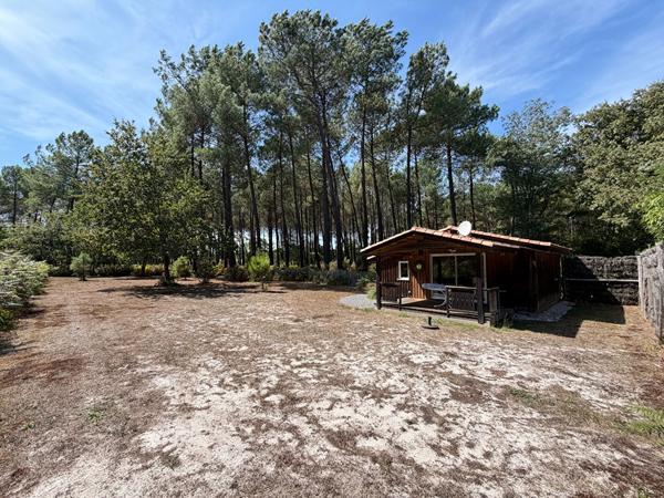 Un havre de paix au coeur de 1,3 hectare à Sanguinet , Sanguinet