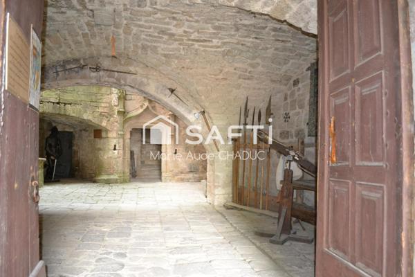 Château Médiéval XIIème-15 pièces - 800m2