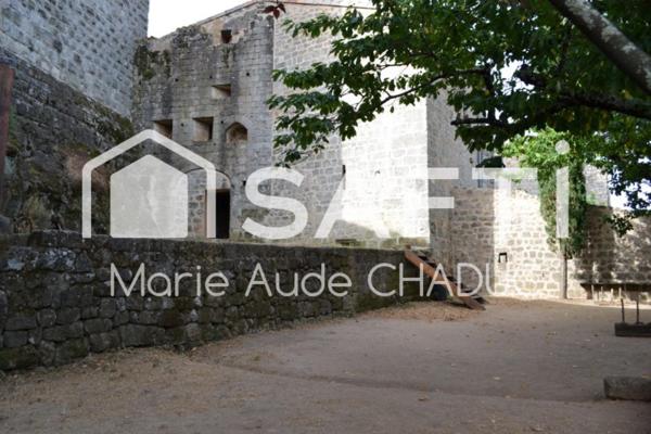 Château Médiéval XIIème-15 pièces - 800m2
