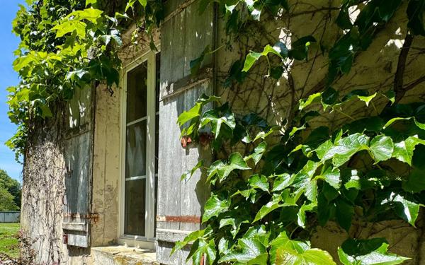 Maison à vendre    20 pièces •  Macau