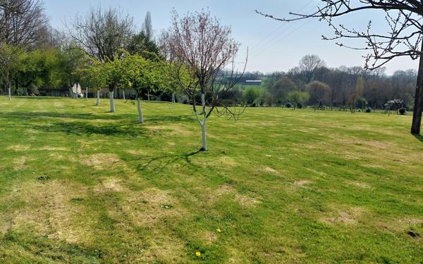 Maison à vendre    4 pièces •  Mortagne-au-Perche