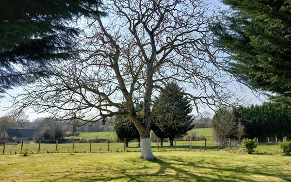 Maison à vendre    4 pièces •  Mortagne-au-Perche