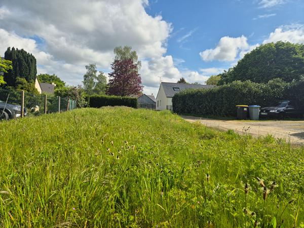 Terrain La Chapelle Sur Erdre 585 m2