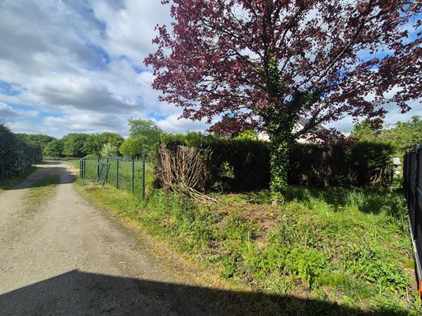 Terrain La Chapelle Sur Erdre 585 m2