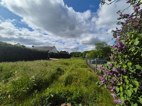 Terrain La Chapelle Sur Erdre 585 m2