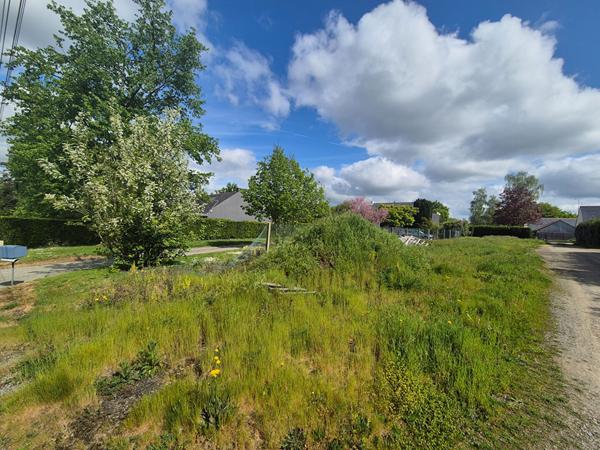 Terrain La Chapelle Sur Erdre 585 m2