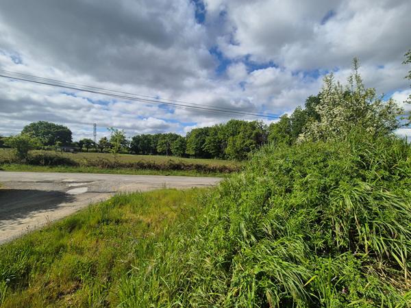 Terrain La Chapelle Sur Erdre 585 m2