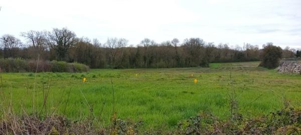 Vente / Terrain constructible