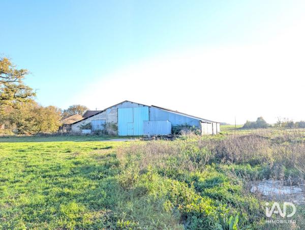 Maison à vendre 5 pièces 92 m² Lhommaizé