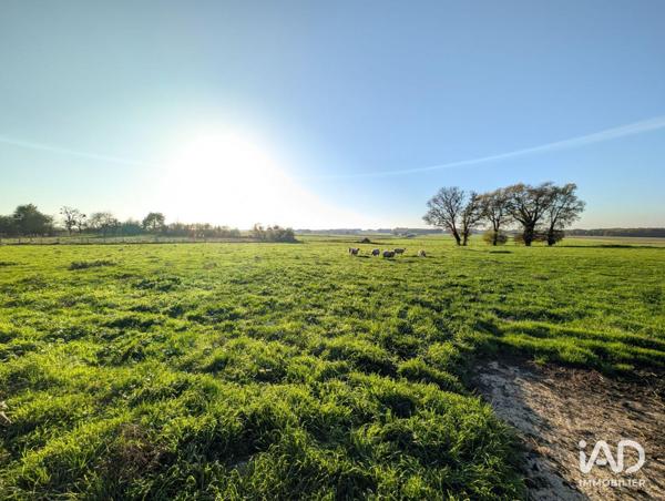 Maison à vendre 5 pièces 92 m² Lhommaizé