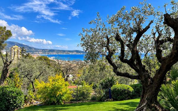 Appartement à vendre    1 pièce • 35,30 m2 Nice