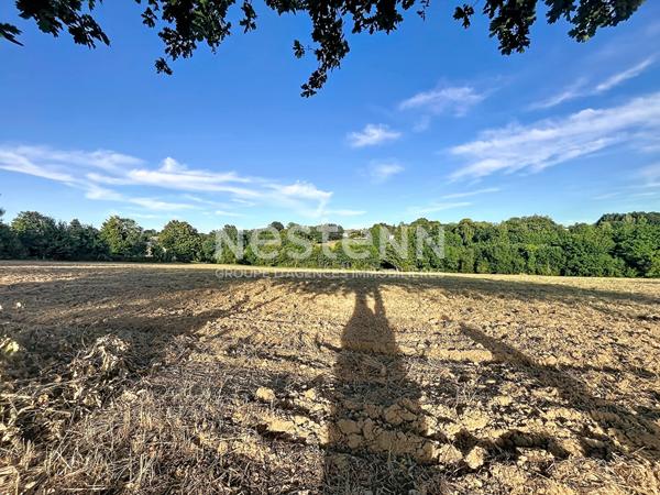 Terrains à bâtir à Sadroc - 6 lots disponibles à partir de 27 000 €