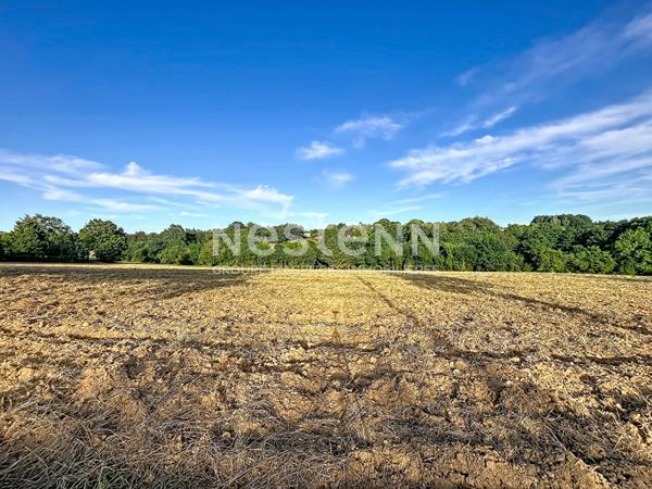 Terrains à bâtir à Sadroc - 6 lots disponibles à partir de 27 000 €