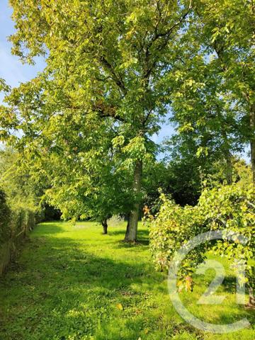 Maison à vendre  5 pièces - 106,40 m2 HERRY - 18