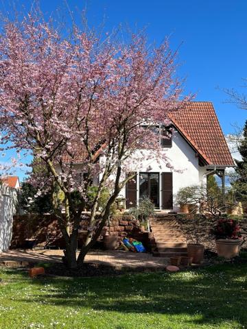 Maison 3 ch. sur terrain arboré de 12 ares à Sessenheim