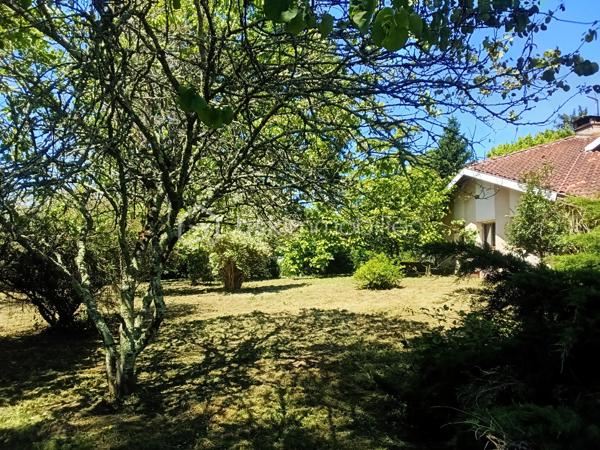 A PEYREHORADE à 35 minutes des plages landaises et de Bayonne, proche des commodités, venez découvrir cette maison d'architecte de 158 m2 sur 3 293 m2 de terrain piscinable sans vis-à-vis et au calme. Elle se compose de 8 pièces: au RDC: garage + cave + 1 bureau de 20 m2 environ ( anciennement 1 chambre ) + 1 laboratoire avec 1 chambre froide; au 1er étage: 1 entrée, 1 séjour donnant sur la terrasse couverte sans vis-à-vis, 1 cuisine équipée ouverte avec accès à la terrasse, 1 hall pour descendre au garage, 1 bureau,1 chambre, 1 salle de bain avec baignoire balnéo + douche + double vasque, 1 WC séparé avec lave main, au 2ème étage: 1 mezzanine très lumineuse, 1 suite parentale avec douche + vasque + WC + placards, 1 espace sous pente.
Côté technique: assainissement tout à l'égout, volets électriques ainsi que la porte du garage, DPE: D, raccordement fibre.
Prévoir quelques travaux de rafraîchissement pour créer votre petit nid douillet. Libre de suite. A visiter sans tarder, vidéo à la demande.