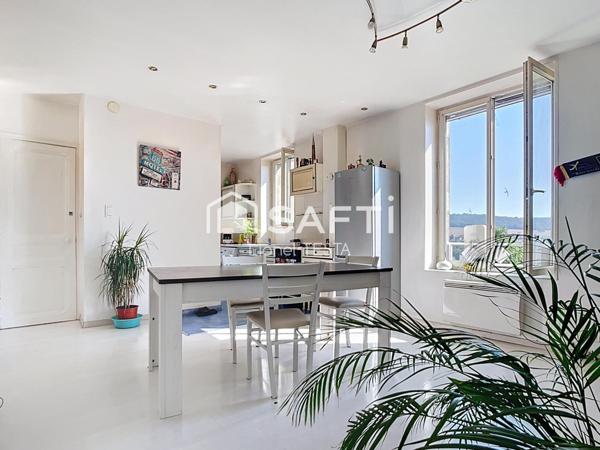 JOLI APPARTEMENT LUMINEUX AVEC JARDIN