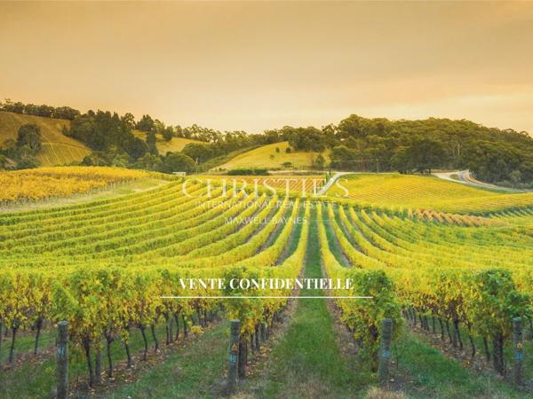 Belle maison de village avec gîte, grand jardin, cuisine d’été et piscine