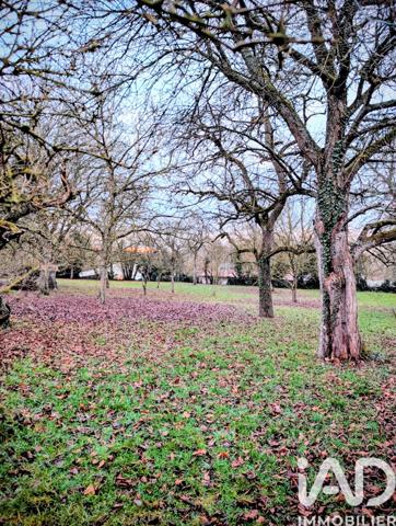 Maison à vendre 7 pièces 184 m² Tugny-et-Pont