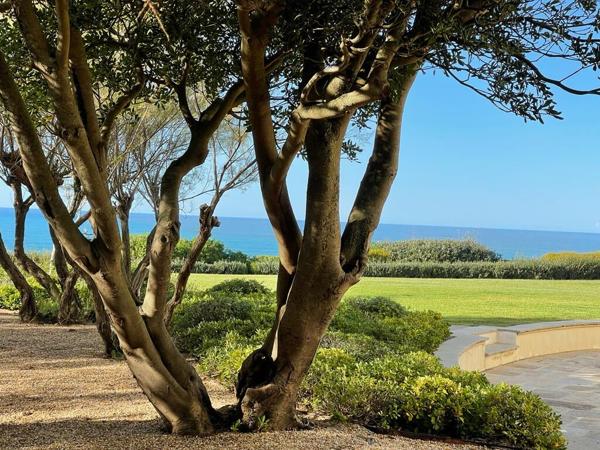 Villa avec vue panoramique sur l’océan