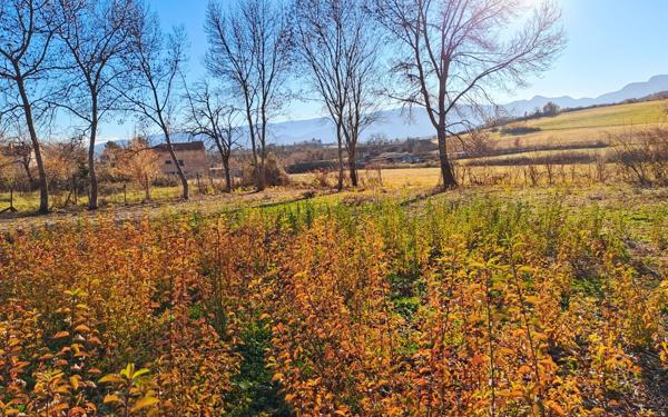 Terrain à vendre    Le Poët